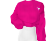 E| Pink Sweater