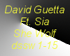 DavidGuettaFtSia-SheWolf