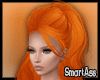 -SA- Orange Hair Tail