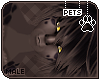 [Pets] Apollo | hair v6