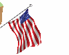 USA Flag