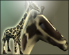 [LP] Giraffe