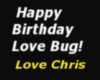 Happy birthday Love bug