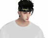REQ TAMVAN99