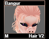Bangur Hair M V2