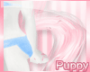 [Pup] Tail Blush