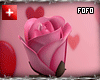 m/f be mine rose pink