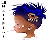 BEARS Blue Hair