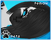 [Pets] Zentha | hair v6