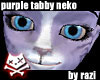 Purple Tabby Bundle