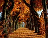 Autumn Road v2