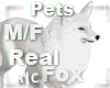 R|C Fox Snow M/F