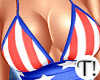 T! 4th July Set v5