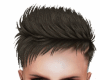(SP)Hair NEws  franck