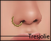 tj:. Gold  Nose Ring L