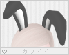 [Q] Kuro Bunny