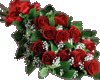 Ali-Red roses11
