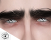Eyes Artificial Gray