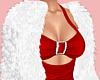 Holiday Fur