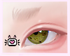 ☽.Kawaii Eyebrows.Blnd