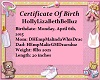 Holly Birth Certificate