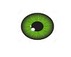 M-Green Eyes