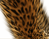 ! Jane Cheetah Fur Tail