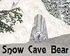 Snow  Bear Cave