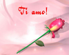 Ti Amo with rose