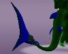 Nuri tail 1