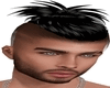 Txv Head