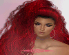 JNSR-CURLY RED
