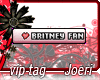 j| Britney Fan