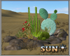 !SR! Safari   Cactus