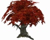 Animated Scary Tree