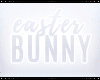Y: easter bunny - skin