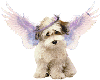 animated angel pup