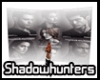 Shadowhunters Flagge
