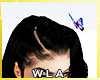 WLA OverHead ButterFly 1