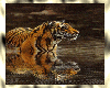Animated Tiger Image