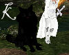 ~K~BlackWolf/V2/animeted