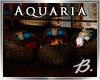 *B* Aquaria Chat Group