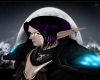 Elven Mage Hair (P)
