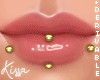 DRV. Snake/Labret  F