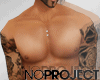 N-P Skin of Roses Tatto