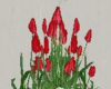 Red Tulip Bunch