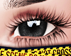 eye 003 $