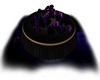 Purple Black Bed
