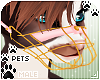 [Pets] Muzzle | Rose