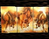 {PJl}Image horses